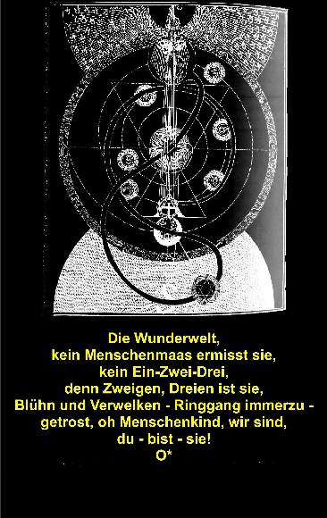 18_Die Wunderwelt